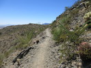 photo thumbnail #1