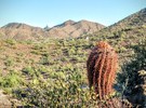 photo thumbnail #1