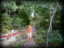 photo thumbnail #7