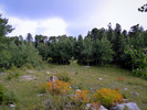 photo thumbnail #8