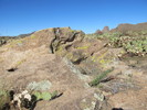 photo thumbnail #5