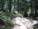 photo thumbnail #4