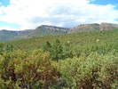 photo thumbnail #6