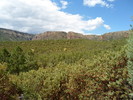 photo thumbnail #7