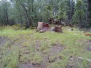 photo thumbnail #9