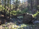 photo thumbnail #5
