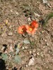 photo thumbnail #14