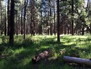 photo thumbnail #11
