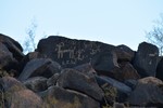 photo thumbnail #3