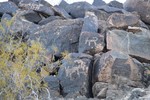photo thumbnail #5