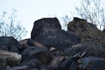 photo thumbnail #7