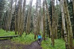 photo thumbnail #3