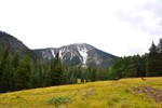 photo thumbnail #12