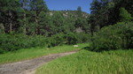 photo thumbnail #7