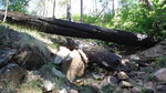 photo thumbnail #15