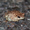 photo thumbnail #4