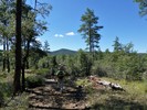 photo thumbnail #3