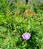 photo thumbnail #8