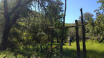 photo thumbnail #11