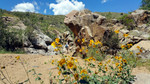 photo thumbnail #15