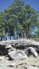 photo thumbnail #4