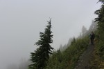 photo thumbnail #12