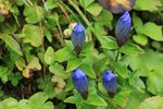 photo thumbnail #8