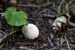 photo thumbnail #5