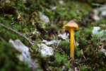 photo thumbnail #12