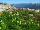 photo thumbnail #1