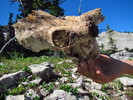 photo thumbnail #3