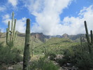 photo thumbnail #1