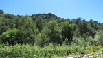 photo thumbnail #10