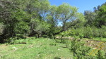 photo thumbnail #11