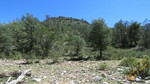 photo thumbnail #14