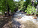photo thumbnail #4