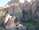 photo thumbnail #1