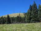 photo thumbnail #5