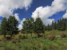 photo thumbnail #12