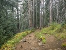 photo thumbnail #1