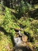 photo thumbnail #14