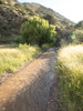 photo thumbnail #3