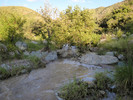 photo thumbnail #12
