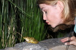 photo thumbnail #5