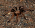 photo thumbnail #1