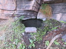 photo thumbnail #5