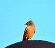 photo thumbnail #2