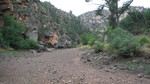 photo thumbnail #13