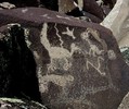 photo thumbnail #5