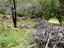 photo thumbnail #8